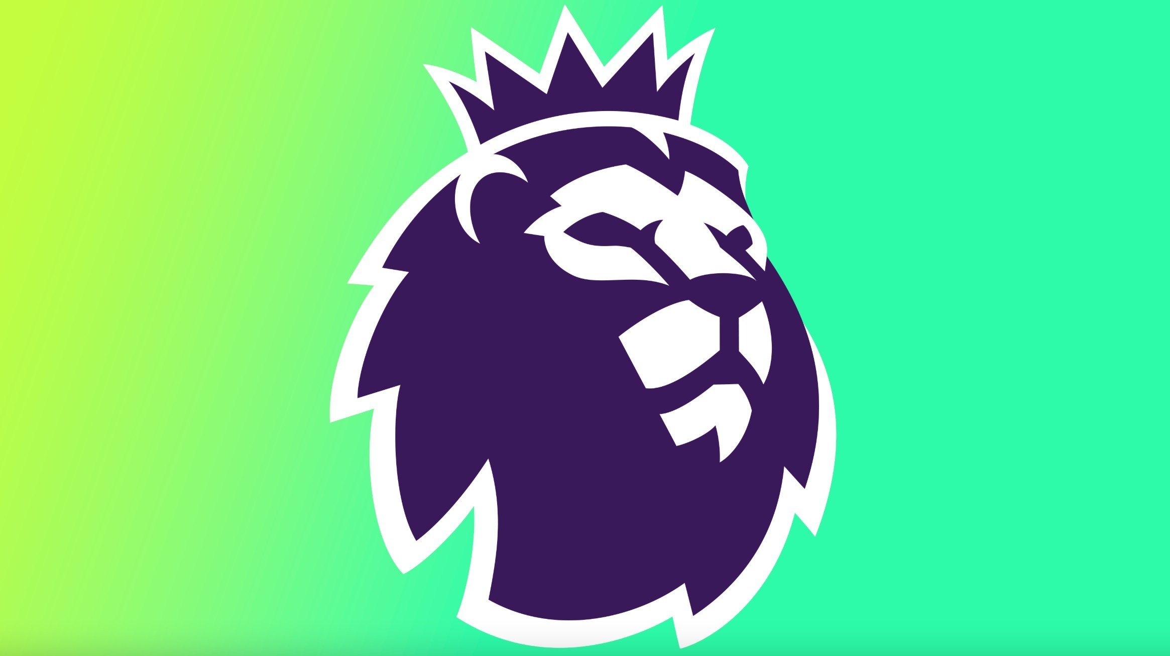 父子同队的 父子同队的