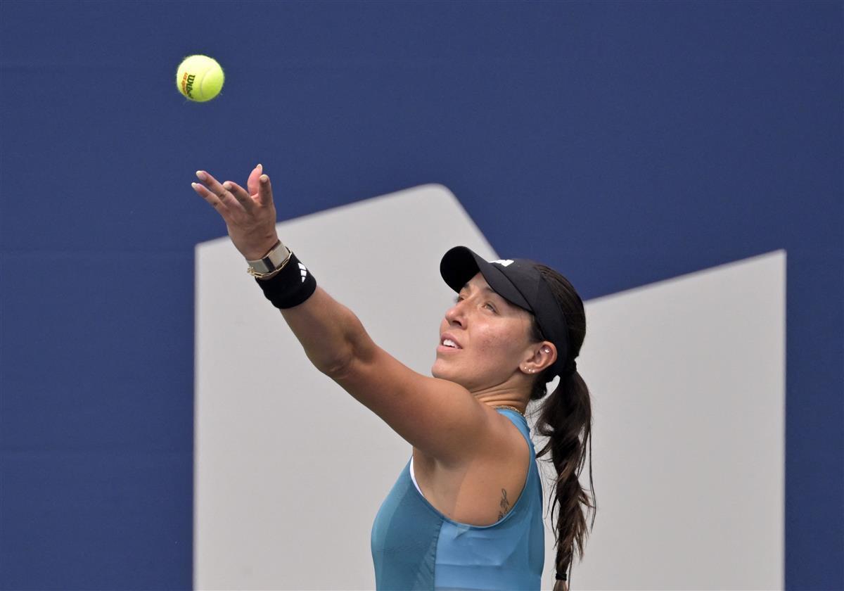 不仅金额可 不仅金额可